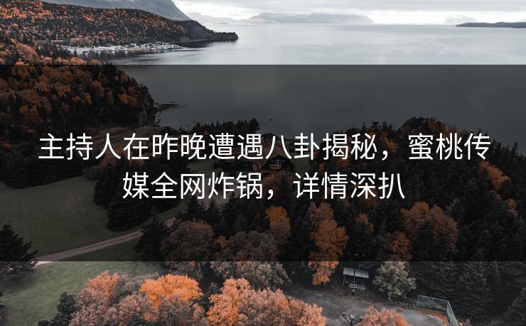 主持人在昨晚遭遇八卦揭秘，蜜桃传媒全网炸锅，详情深扒