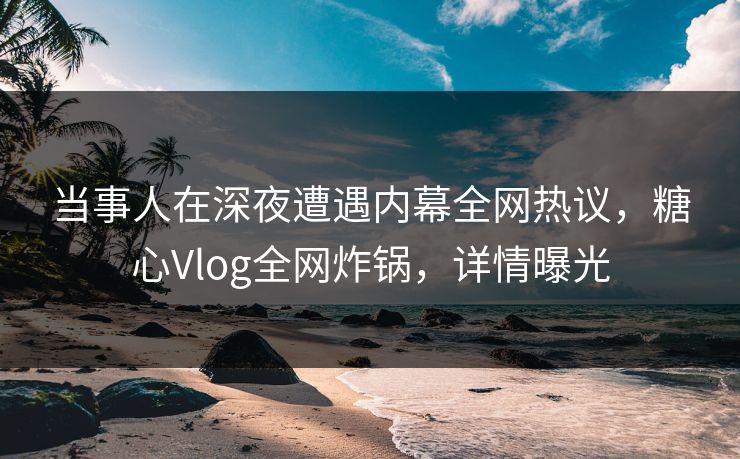 当事人在深夜遭遇内幕全网热议，糖心Vlog全网炸锅，详情曝光