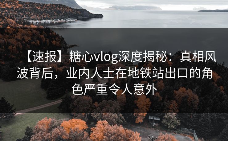 【速报】糖心vlog深度揭秘：真相风波背后，业内人士在地铁站出口的角色严重令人意外